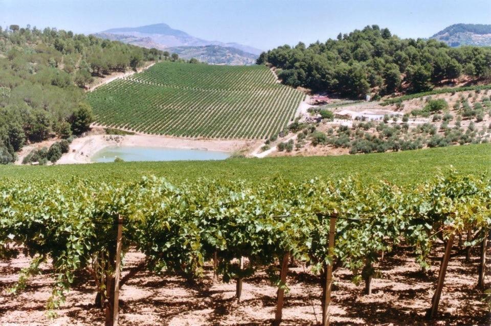 Agriturismo Tenute Pispisa Segesta Calatafimi Bagian luar foto