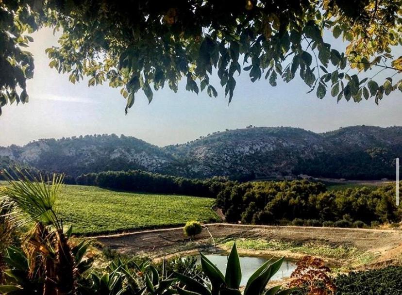 Agriturismo Tenute Pispisa Segesta Calatafimi Bagian luar foto