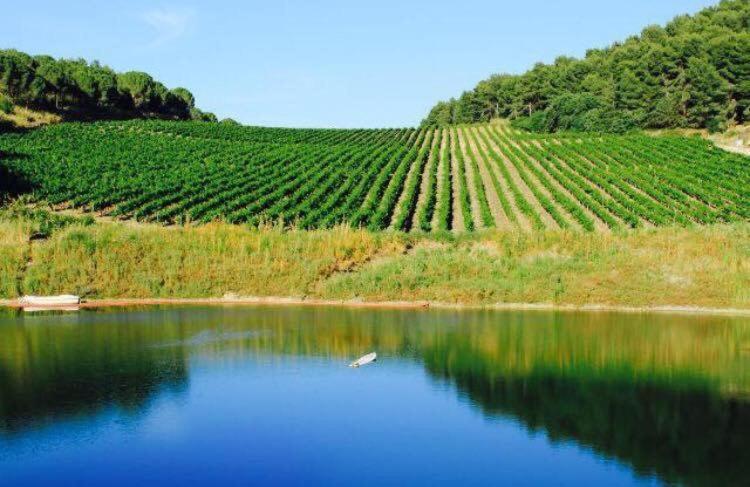 Agriturismo Tenute Pispisa Segesta Calatafimi Bagian luar foto