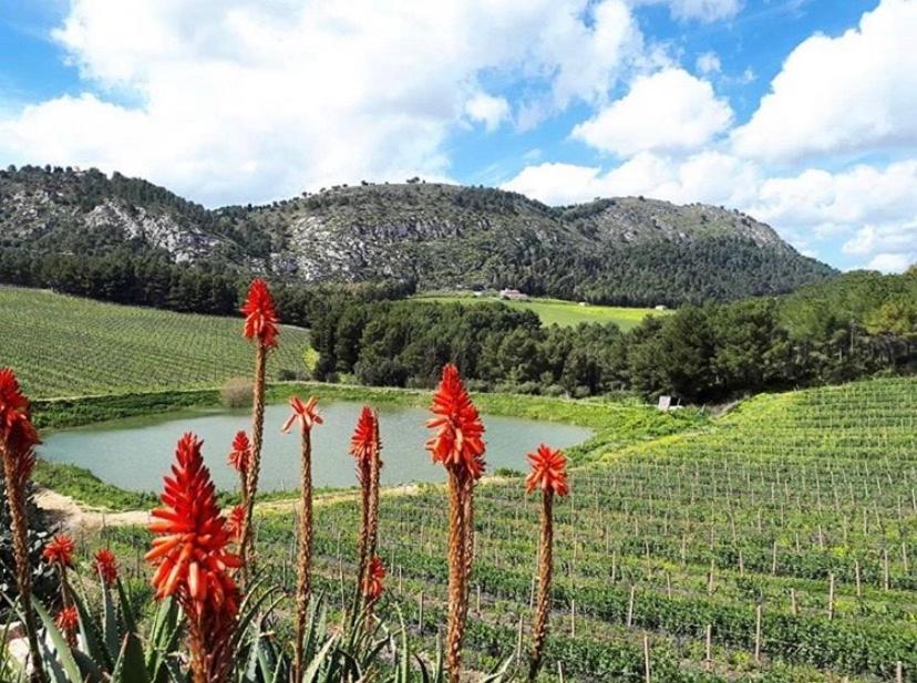 Agriturismo Tenute Pispisa Segesta Calatafimi Bagian luar foto