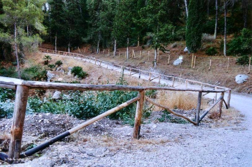 Agriturismo Tenute Pispisa Segesta Calatafimi Bagian luar foto