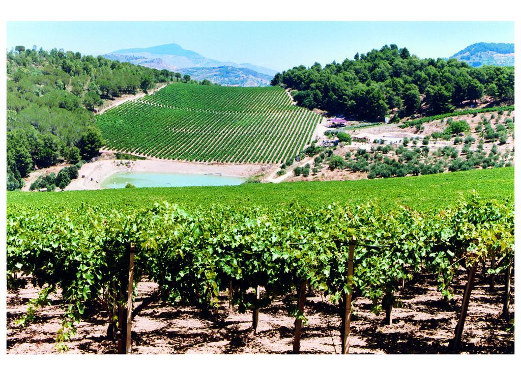 Agriturismo Tenute Pispisa Segesta Calatafimi Bagian luar foto