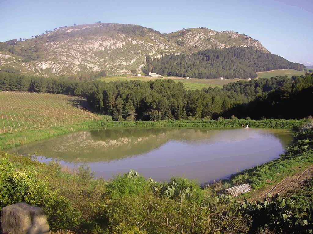 Agriturismo Tenute Pispisa Segesta Calatafimi Bagian luar foto