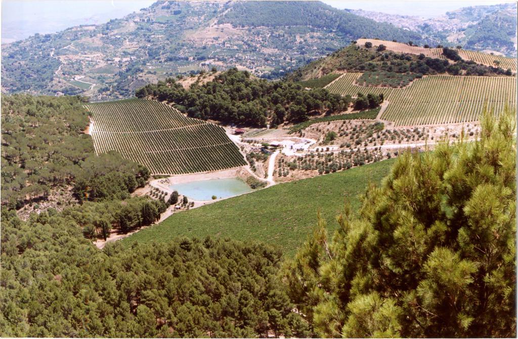 Agriturismo Tenute Pispisa Segesta Calatafimi Bagian luar foto
