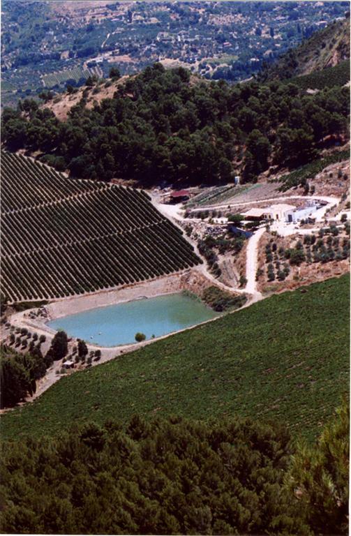 Agriturismo Tenute Pispisa Segesta Calatafimi Bagian luar foto