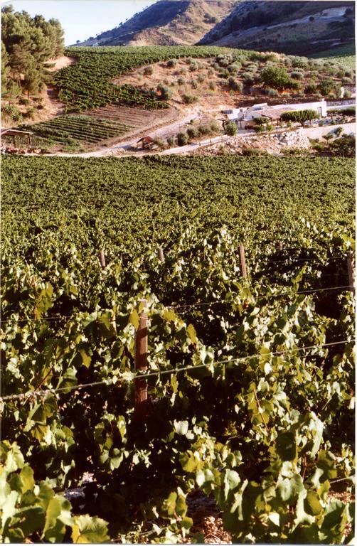 Agriturismo Tenute Pispisa Segesta Calatafimi Bagian luar foto