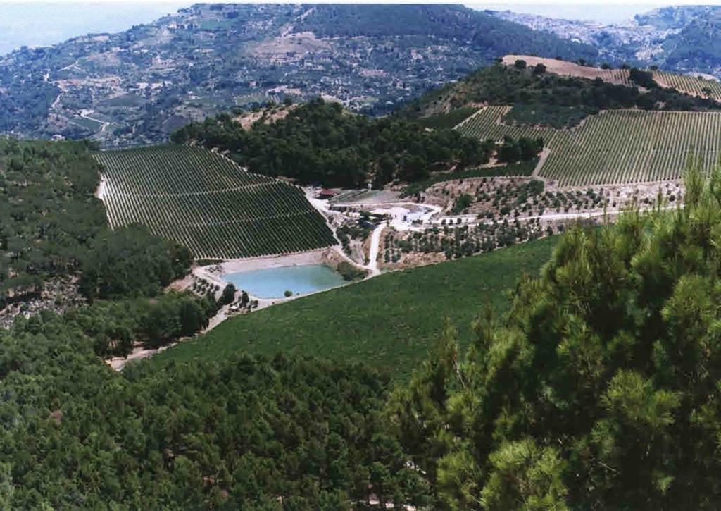 Agriturismo Tenute Pispisa Segesta Calatafimi Bagian luar foto