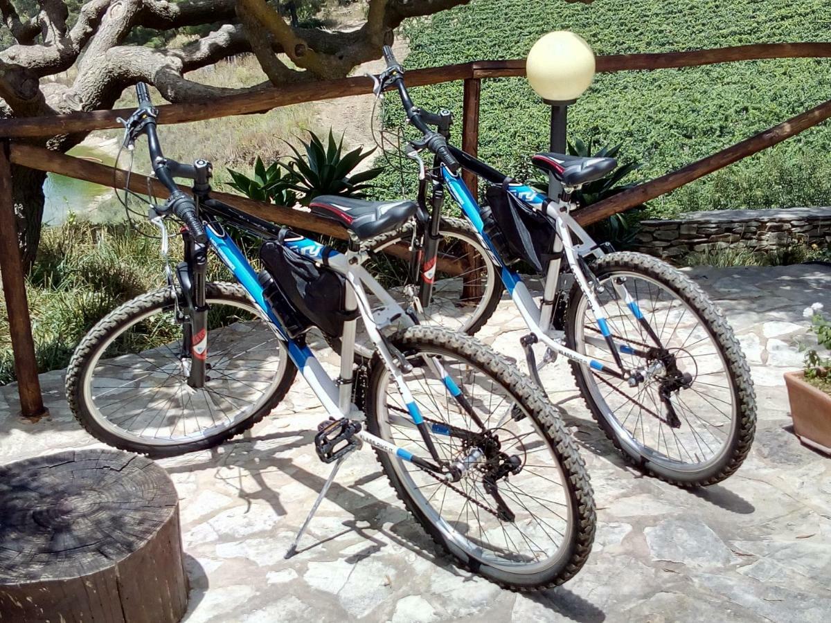 Agriturismo Tenute Pispisa Segesta Calatafimi Bagian luar foto